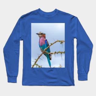 Lilac Breasted Roller Rainbow Bird, Thorny Acacia Tree Long Sleeve T-Shirt